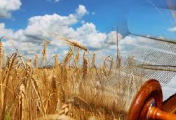 Shavuot, o Pentecostes, será celebrado a partir do pôr do sol de hoje